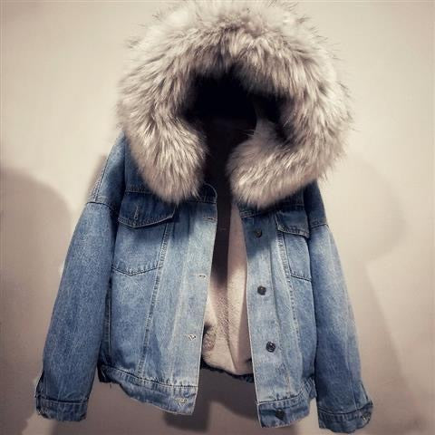 Winter Wear Womens jacket