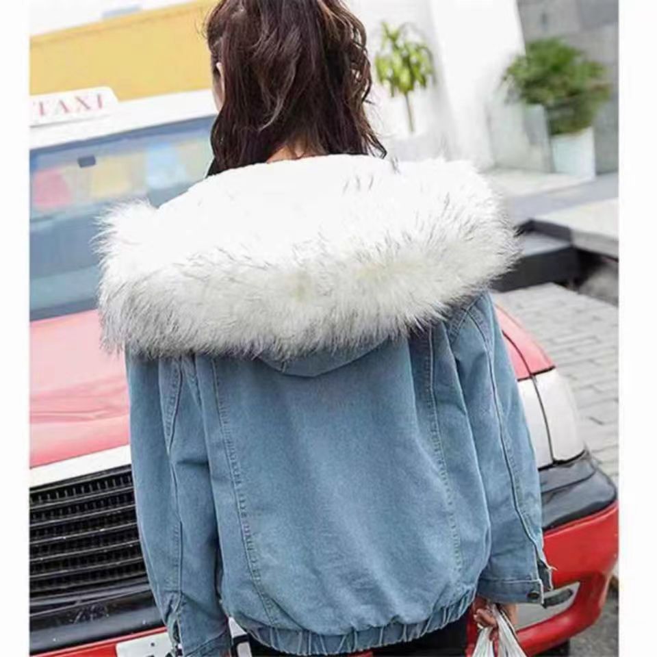 Winter Wear Womens jacket